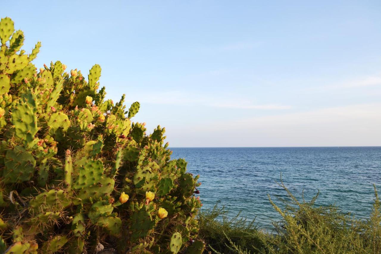 Sea Top Flat L By Algest Apartment Portimao Luaran gambar